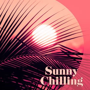 Sunny Chilling - Pure and Deep Chill Out, Tropical Lounge, Chillout Therapy - Hawaiian Music