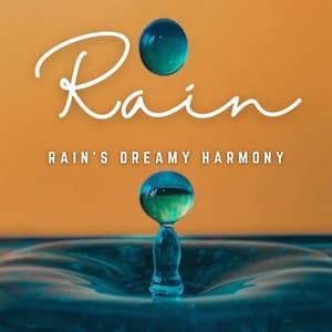 Raindrop Harmony: Relaxing Tunes for Your Kitty - Noise Makers