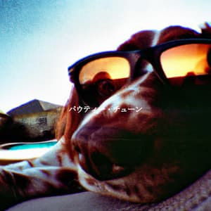 パウティー・チューン - Jazz Alegre para Cafeterías