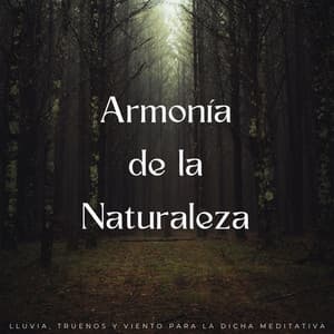 Armonía De La Naturaleza: Lluvia, Truenos Y Viento Para La Dicha Meditativa - Sonidos de lluvia y truenos
