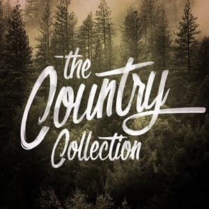 The Country Collection - American Country Hits