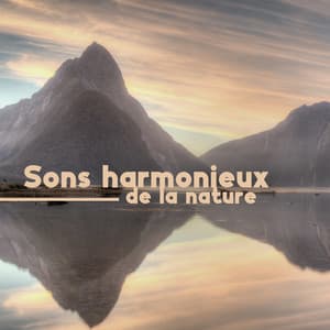 Sons harmonieux de la nature: Musique la plus apaisante et la plus paisible pour la détente - Chriss Aum