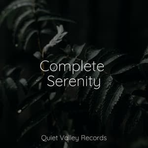 Complete Serenity - Binaural Beats Brainwave Entrainment
