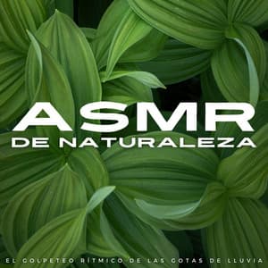 ASMR De Naturaleza: El Golpeteo Rítmico De Las Gotas De Lluvia - Asmr