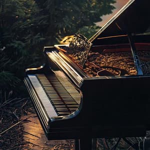 Melodías De Piano Para Dormir: Melodías Para Noches Reparadoras - Noche de Piano