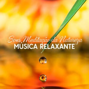 Sons Meditação da Natureza: Música Relaxante - Relaxantes Natureza Zona