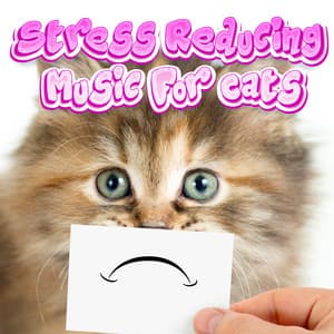 Deep Stress Relief Music For Cats - Calming Music For Cats With Anxiety
