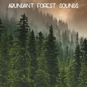 Abundant Forest Sounds - Forest Sounds