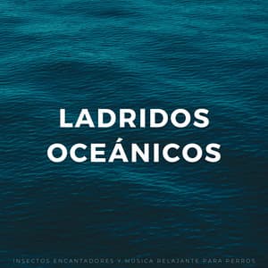 Ladridos Oceánicos: Insectos Encantadores Y Música Relajante Para Perros - Sonidos de olas y océanos