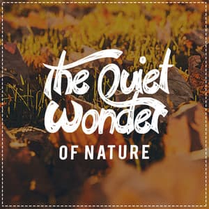 The Quiet Wonder of Nature - Nature Sounds Nature Music
