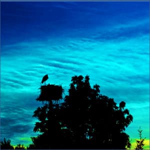 White Noise, Brown Noise, Appliances, Water and other Background Audio - Soothing Sounds