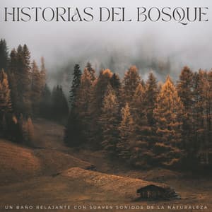 Historias Del Bosque: Un Baño Relajante Con Suaves Sonidos De La Naturaleza - Radio Sonidos de la Naturaleza