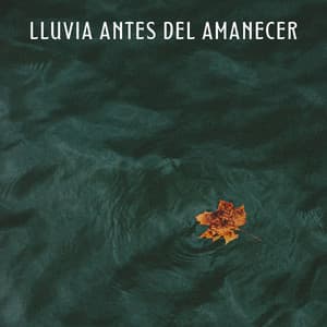 Lluvia Antes Del Amanecer - Lluvia Olivia