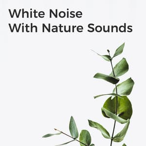 White Noise with Nature Sounds - White Noise Nature Sounds Baby Sleep