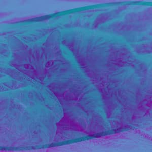 Trio Jazz - Bgm for Home Cats - Cats Music Den