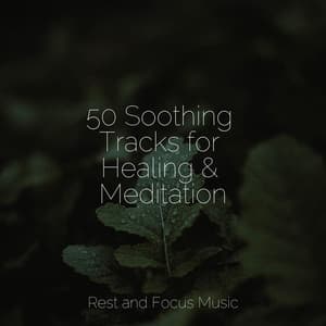 50 Soothing Tracks for Healing & Meditation - Zen Meditate
