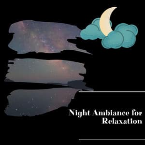 Night Ambiance for Relaxation - Night Nature Sounds