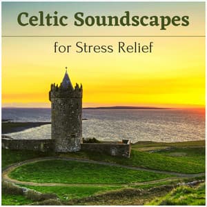 Celtic Soundscapes for Stress Relief - Relaxing Harp Music - Celtic Harp Soundscapes