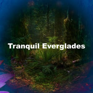 Tranquil Everglades - Pure Nature Noises