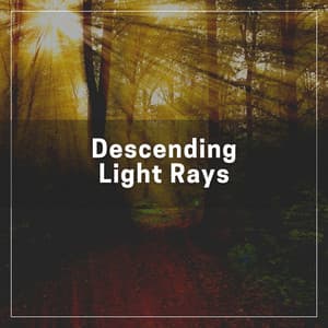 Descending Light Rays - Relaxation