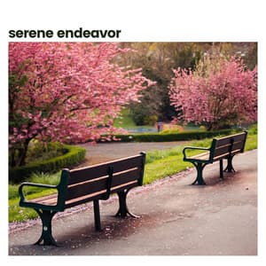 Serene Endeavor - Inspiring Tranquil Sounds