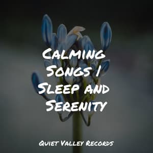 Calming Songs | Sleep and Serenity - Rain Sounds Factory STHLM