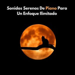Sonidos Serenos De Piano Para Un Enfoque Ilimitado - Novela para piano