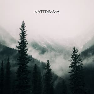 Nattdimma - Lugnande zen musikzon