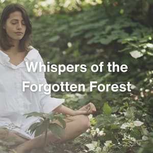 Whispers of the Forgotten Forest - Meditation Music