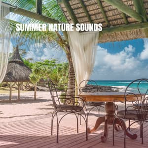 Summer Nature Sounds - Relaxing Rain Sounds