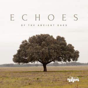 Echoes of the Ancient Oaks - Piano Music Spa
