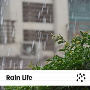 Rain Life - Nature and Rain