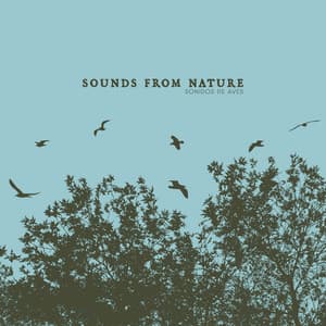 Sounds from Nature - Sonidos De Aves