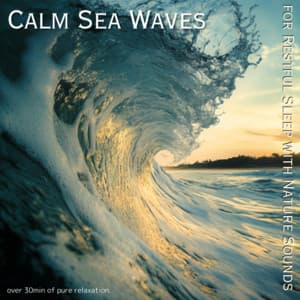 Calm Sea Waves for Restful Sleep with Nature Sounds - Ocean Waves for Deep Sleep