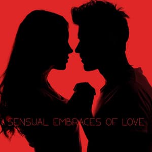 Sensual Embraces of Love - Valentine's Day in the Rhythms of Latino Bossa and Brazilian Lounge - Latino Dance Music Academy