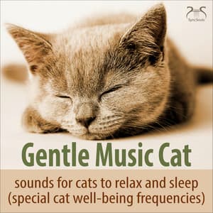 Gentle Music Cat - Sounds for Cats to Relax and Sleep - Music for Cats TA
