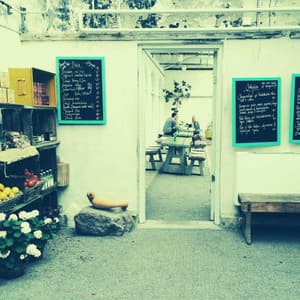 Ambiance for Tuesday Dinner - Good Morning Jazz