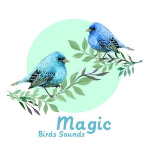 Magic Birds Sounds – Anti-Stress, Calming and Chill, Harmony, Nature, Peaceful and Serene Atmosphere - Singing Birds Zone