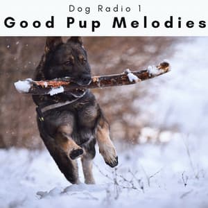 2 0 2 3 Good Pup Melodies - Dog Radio 1