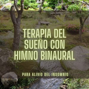 Terapia Del Sueño Con Himno Binaural Para Alivio Del Insomnio - Sueño binaural Delta Beats