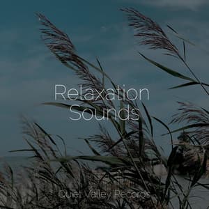 Relaxation Sounds - Nursery Rhymes