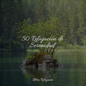 50 Relajación de Serenidad - Natureza Musica Bem-Estar Academia