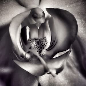 The Art of Surrender, Soft Tantra - Tantra Healing Paradise