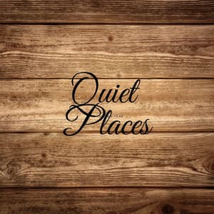 Quiet Places - Michael Mondrain