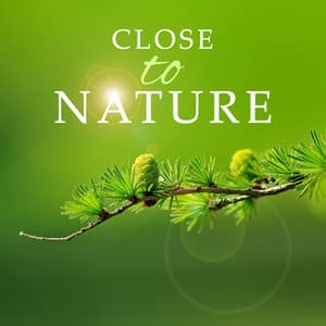 Close to Nature: Best Zen Music to Gain More Power and Vitality in Your Life - Natural Healing Spa