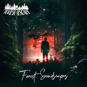 Forest Soundscapes - The Forest Escape