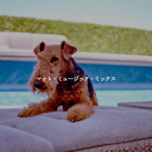 マット・ミュージック・ミックス - Jazz Ambiance