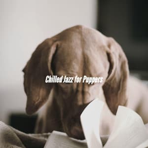 Chilled Jazz for Puppers - Dog Sleeping Soundtracks Deluxe