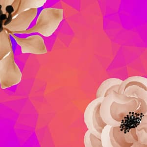 Bossa Guitar Trio - Background for Warm Shadows - Evening Jazz Chill