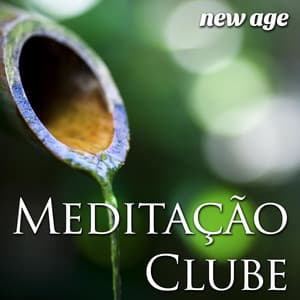 Meditação Clube - Música Perfeita para Relaxar ou Contemplar Silenciosamente - Relaxphonic